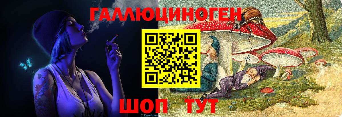 Галлюциногенные грибы мухоморы Абакан