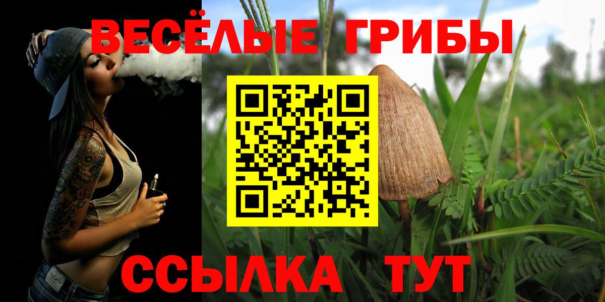 Абакан  Галлюциногенные грибы Psilocybe  Вход с VPN 